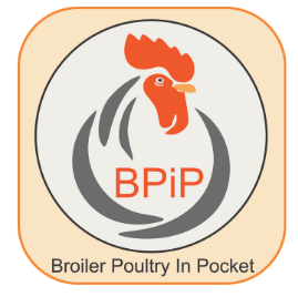Broiler In Pocket (BPiP)