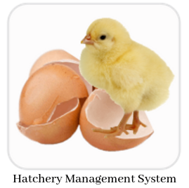 Hatchery Management System