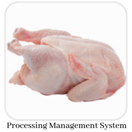 Processing Management System